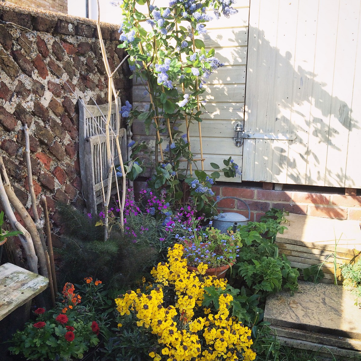 Cómo se ha transformado un cobertizo en un espacio creativo | Tienda