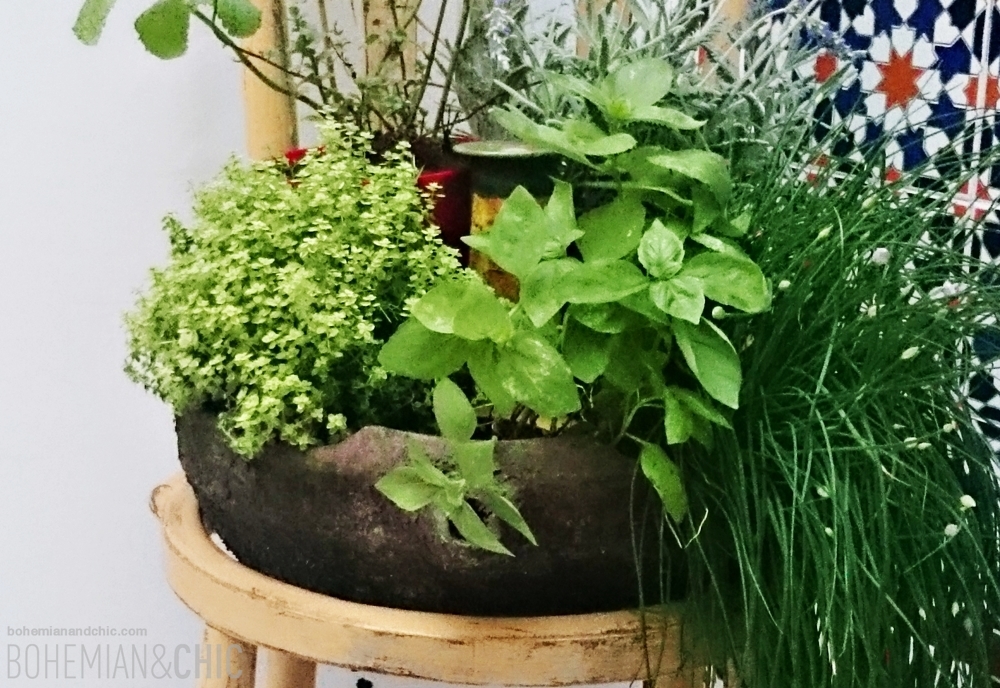 Cómo convertir una vieja silla en macetero con Milk Paint