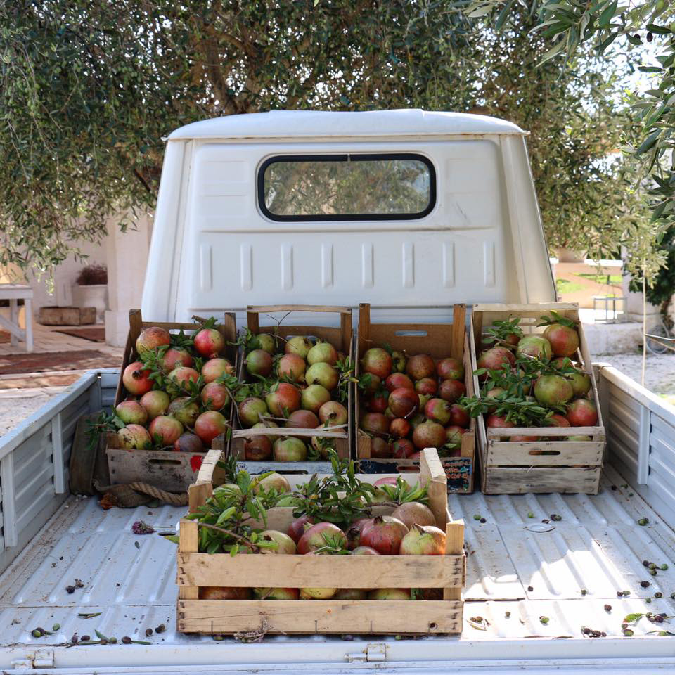 La Masseria un sueño hecho realidad