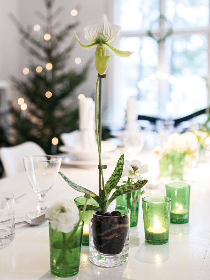 Un casa vestida para Navidad en blanco y verde