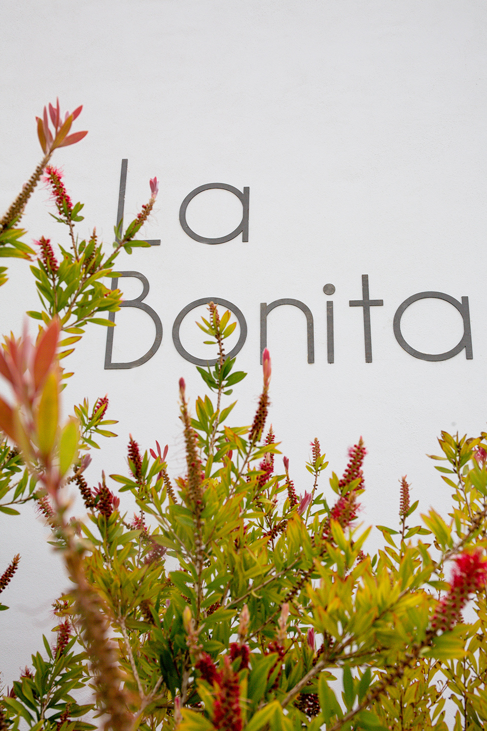 Una casa bonita para perderse en el paraíso