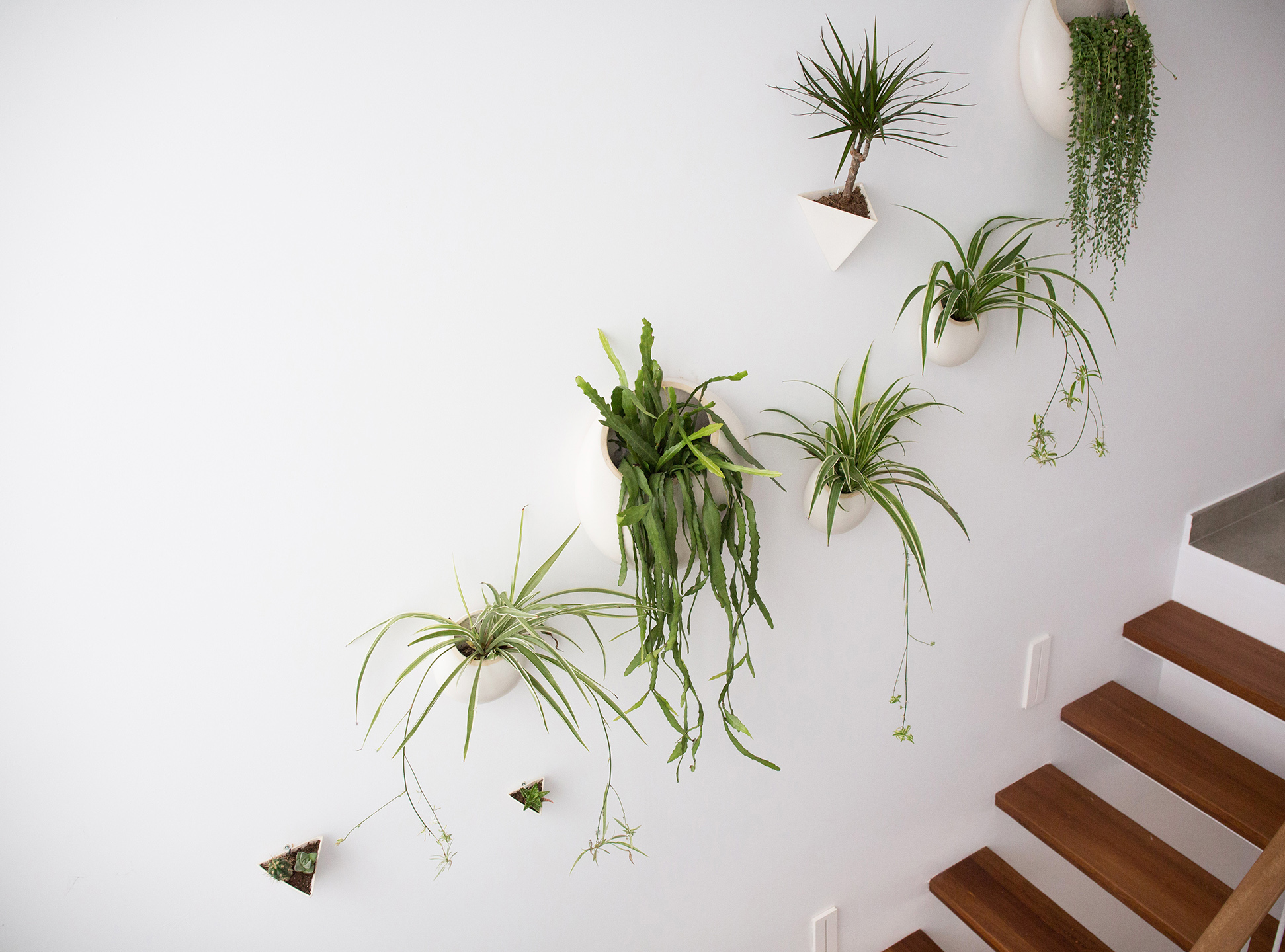 Una casa bonita para perderse en el paraíso