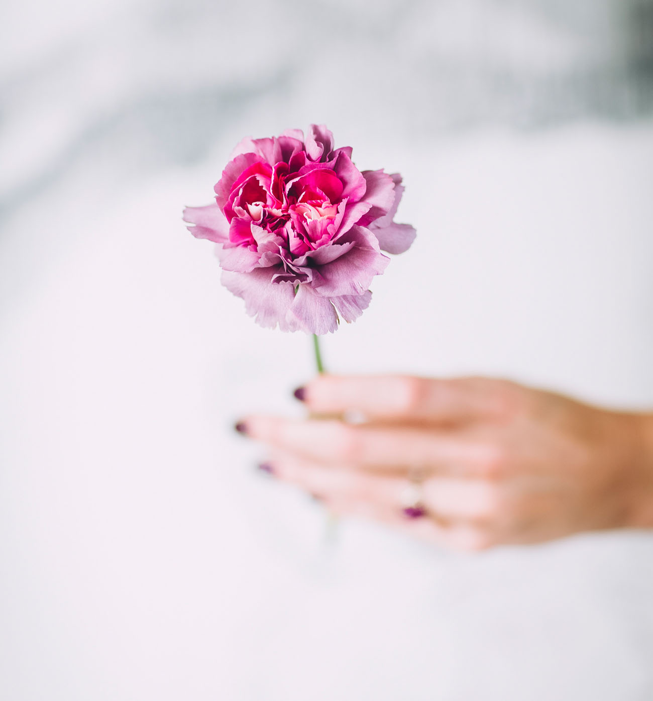 decorar una boda con claveles