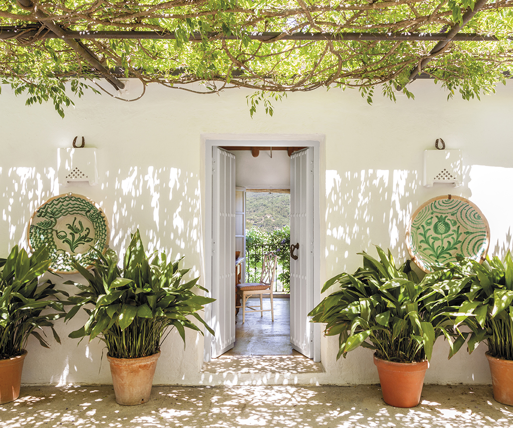 Una hermosa casa rústica en la serranía de Ronda