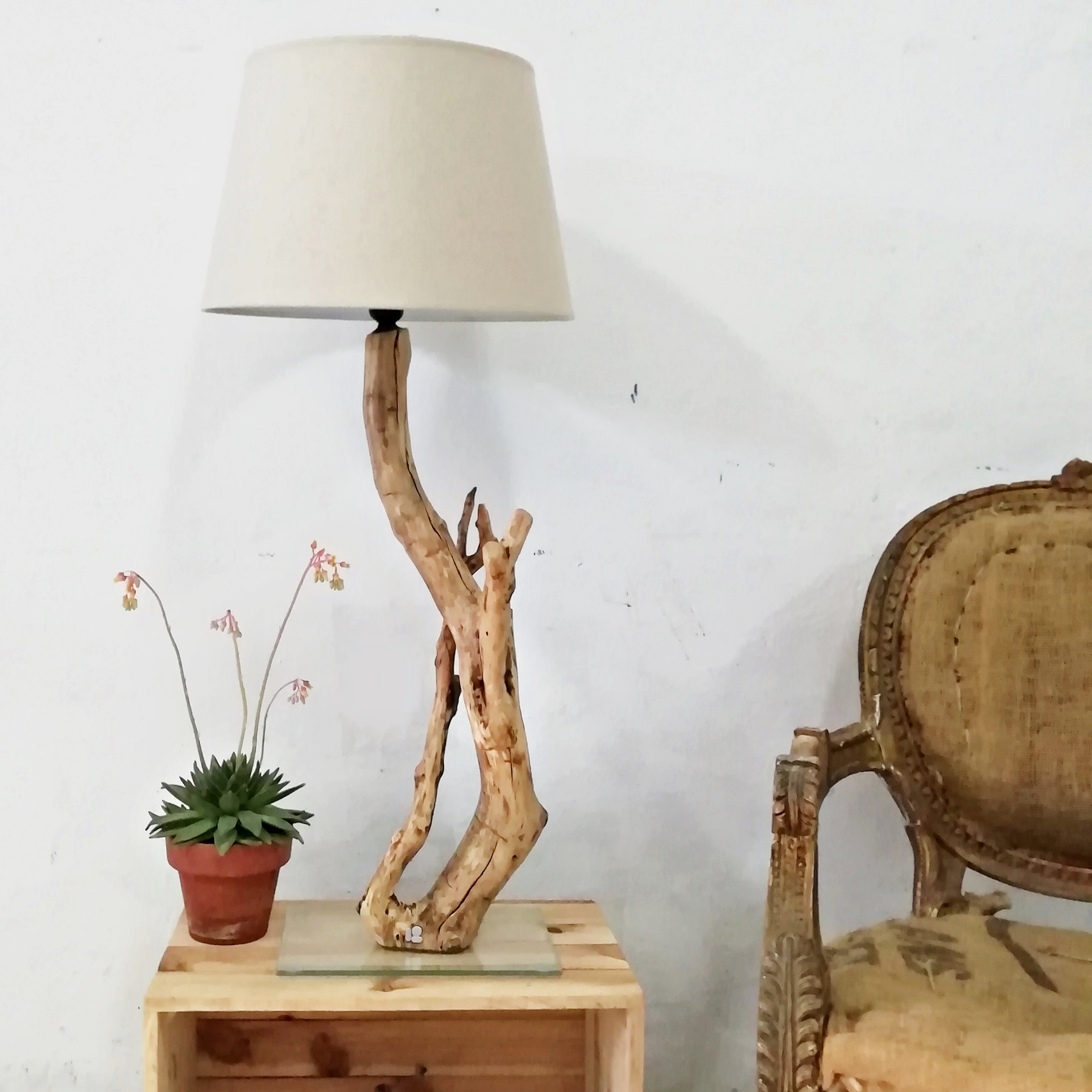 Belleza natural lámparas artesanales de madera olivo